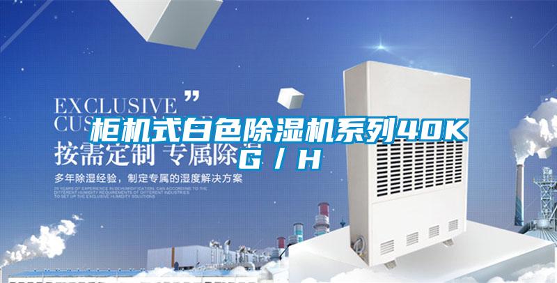 柜機式白色除濕機系列40KG/H