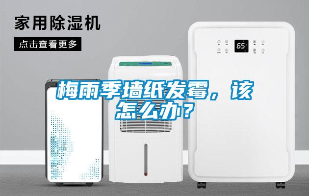 梅雨季墻紙發(fā)霉，該怎么辦？