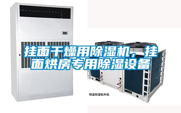 掛面干燥用除濕機(jī),掛面烘房專用除濕設(shè)備