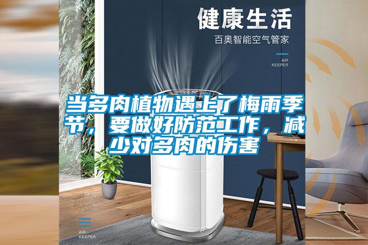 當(dāng)多肉植物遇上了梅雨季節(jié),要做好防范工作,減少對(duì)多肉的傷害