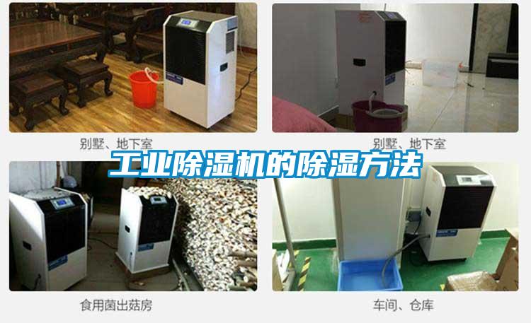 工業(yè)除濕機(jī)的除濕方法
