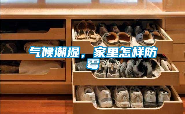 氣候潮濕，家里怎樣防霉