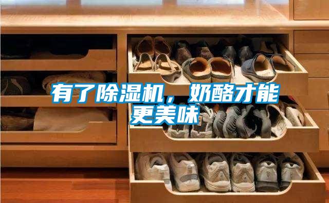 有了除濕機，奶酪才能更美味