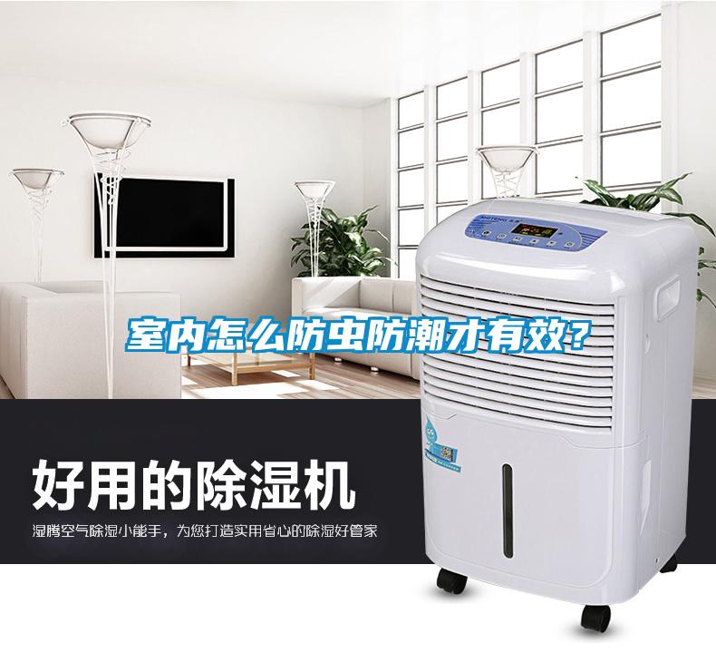 室內怎么防蟲防潮才有效？