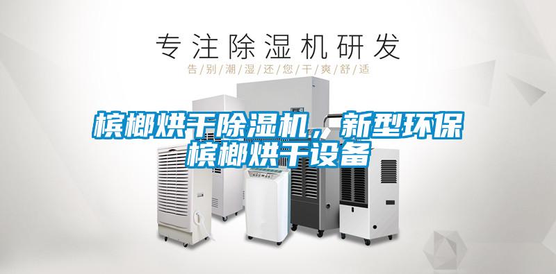 檳榔烘干除濕機，新型環保檳榔烘干設備