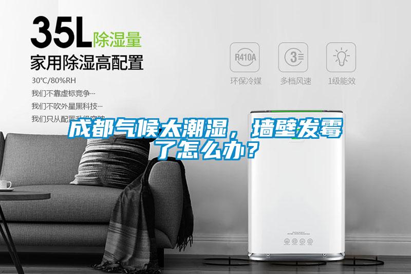 成都?xì)夂蛱睗?，墻壁發(fā)霉了怎么辦？