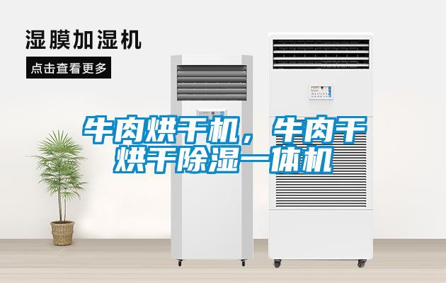 牛肉烘干機，牛肉干烘干除濕一體機