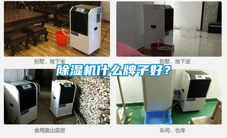 除濕機什么牌子好？