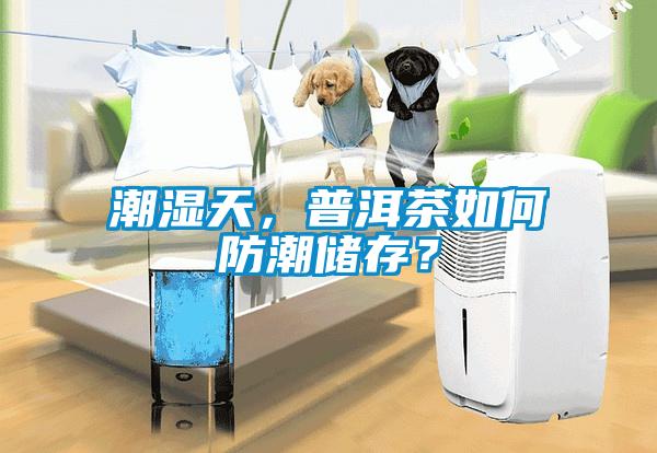 潮濕天，普洱茶如何防潮儲存？