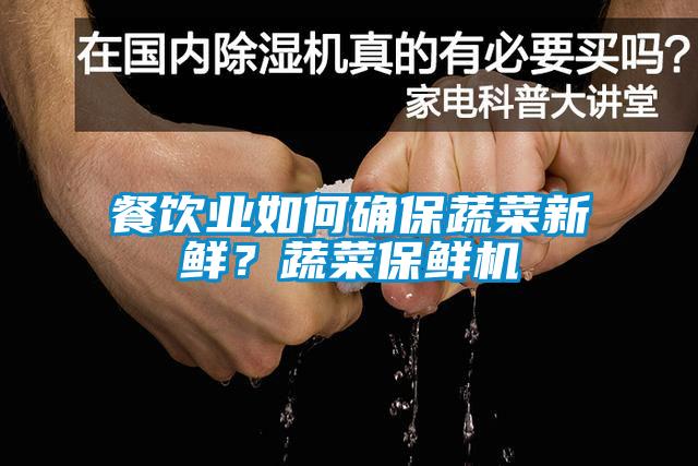 餐飲業(yè)如何確保蔬菜新鮮？蔬菜保鮮機(jī)