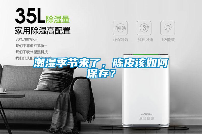 潮濕季節來了，陳皮該如何保存？