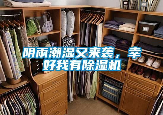 陰雨潮濕又來襲，幸好我有除濕機
