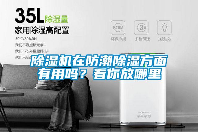 除濕機在防潮除濕方面有用嗎？看你放哪里