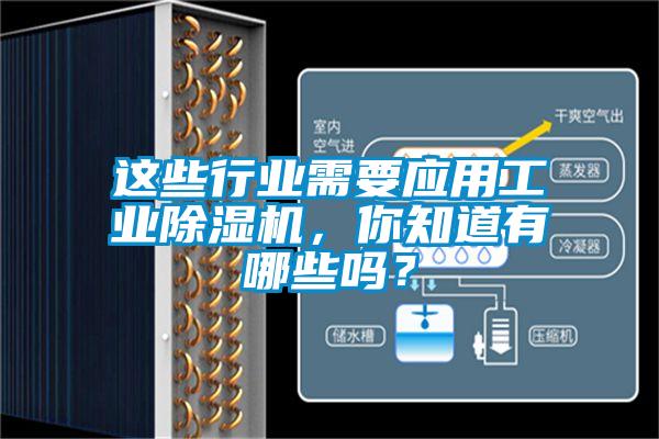 這些行業(yè)需要應(yīng)用工業(yè)除濕機，你知道有哪些嗎？