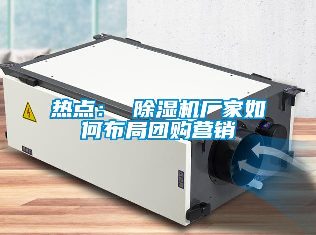 熱點(diǎn)： 除濕機(jī)廠家如何布局團(tuán)購(gòu)營(yíng)銷