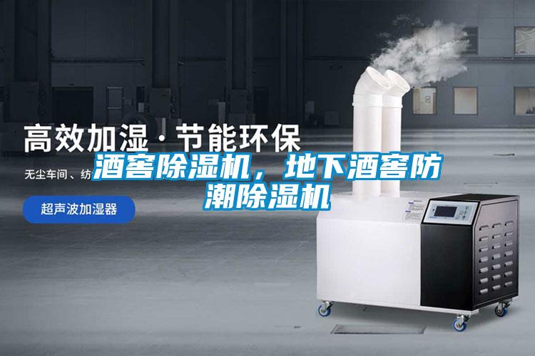 酒窖除濕機(jī)，地下酒窖防潮除濕機(jī)
