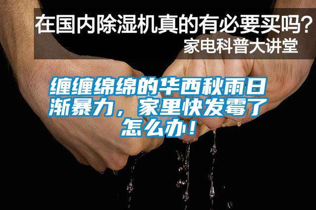 纏纏綿綿的華西秋雨日漸暴力，家里快發(fā)霉了怎么辦！