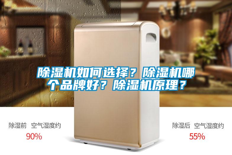 除濕機(jī)如何選擇？除濕機(jī)哪個品牌好？除濕機(jī)原理？