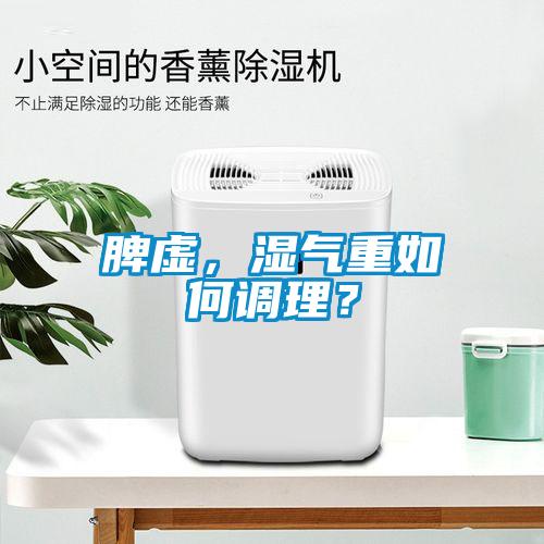 脾虛，濕氣重如何調理？