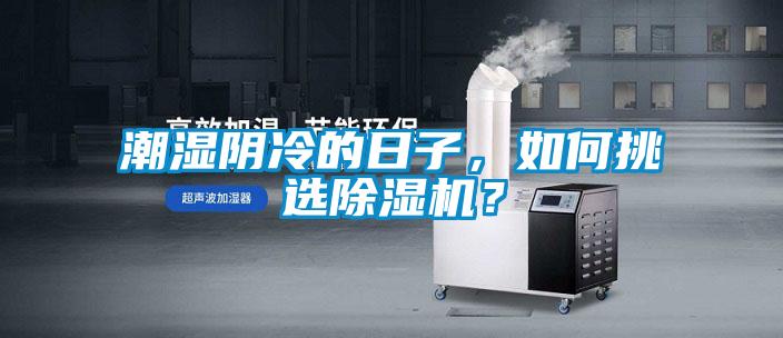 潮濕陰冷的日子，如何挑選除濕機？