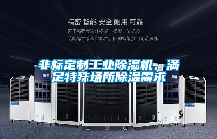 非標(biāo)定制工業(yè)除濕機(jī)，滿足特殊場(chǎng)所除濕需求