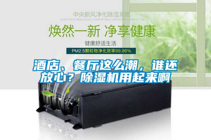 酒店、餐廳這么潮，誰還放心？除濕機用起來啊