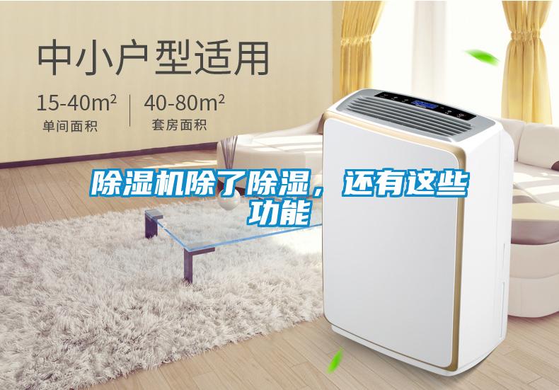 除濕機除了除濕，還有這些功能