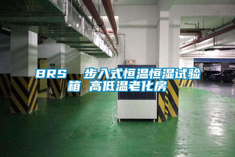 BRS 步入式恒溫恒濕試驗(yàn)箱 高低溫老化房