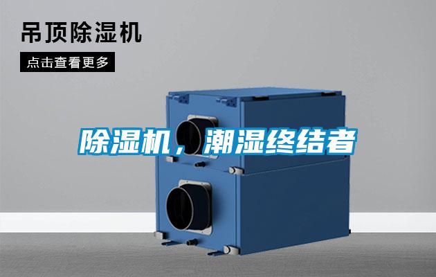 除濕機，潮濕終結者