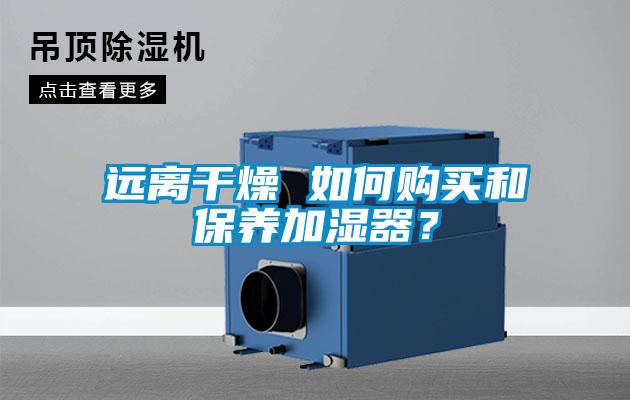 遠離干燥 如何購買和保養(yǎng)加濕器？