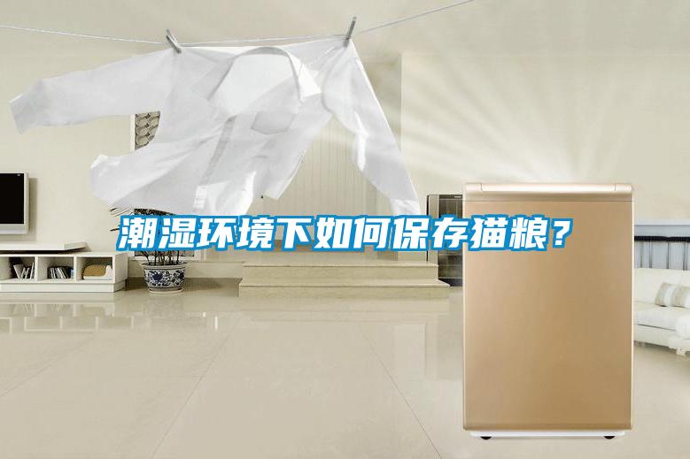 潮濕環境下如何保存貓糧？
