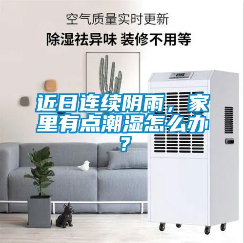 近日連續(xù)陰雨，家里有點潮濕怎么辦？