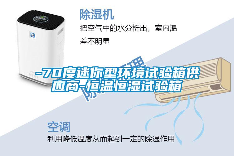 -70度迷你型環境試驗箱供應商-恒溫恒濕試驗箱