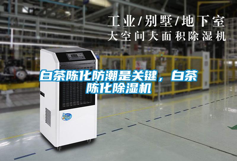 白茶陳化防潮是關(guān)鍵，白茶陳化除濕機