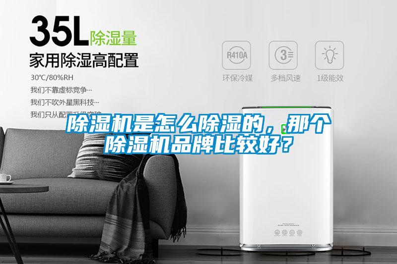 除濕機(jī)是怎么除濕的，那個(gè)除濕機(jī)品牌比較好？
