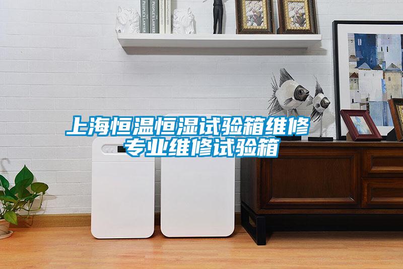 上海恒溫恒濕試驗箱維修 專業維修試驗箱