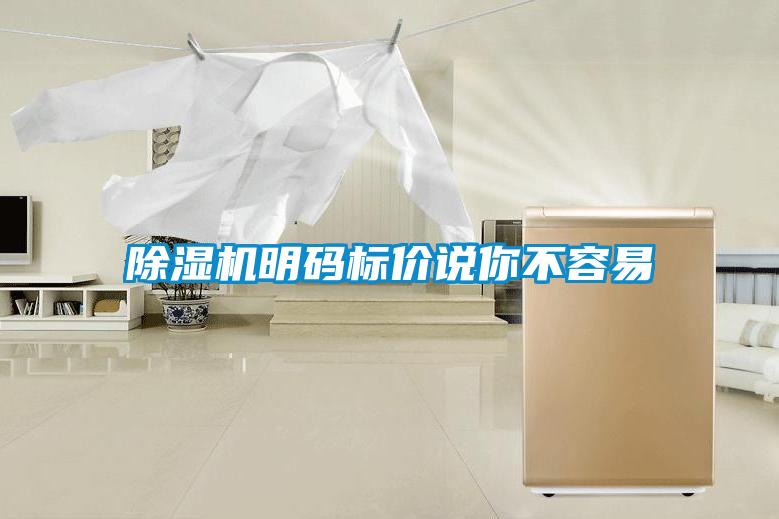 除濕機(jī)明碼標(biāo)價(jià)說(shuō)你不容易