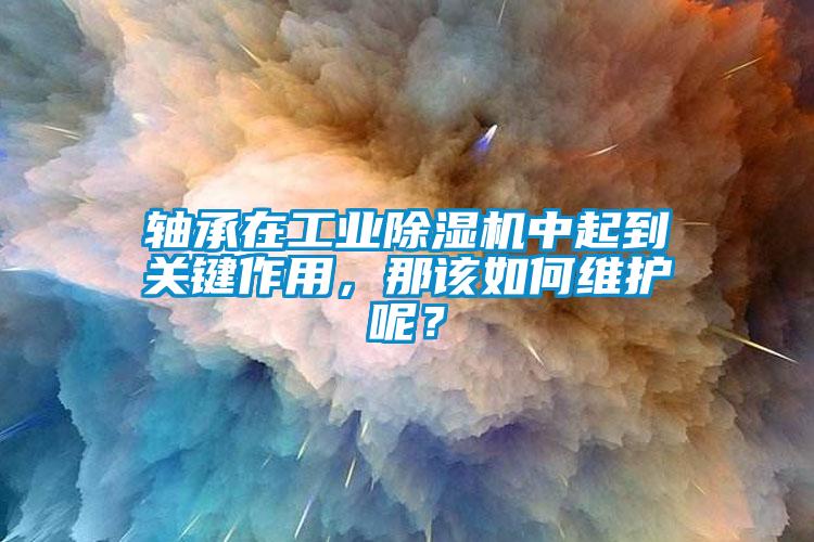 軸承在工業(yè)除濕機中起到關鍵作用，那該如何維護呢？