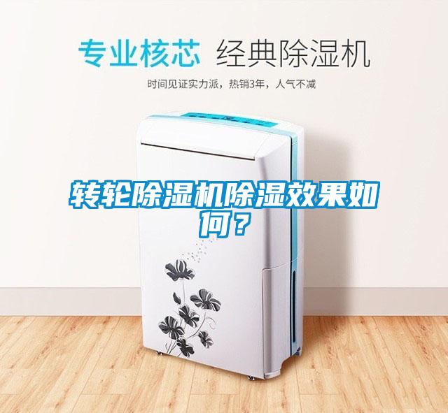 轉輪除濕機除濕效果如何？