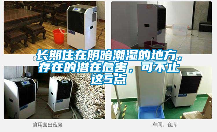 長期住在陰暗潮濕的地方，存在的潛在危害，可不止這5點(diǎn)