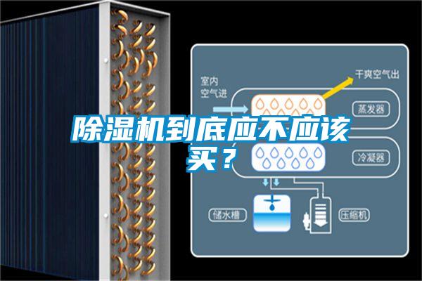 除濕機到底應不應該買?