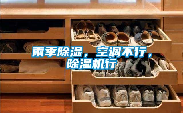 雨季除濕,空調(diào)不行,除濕機(jī)行