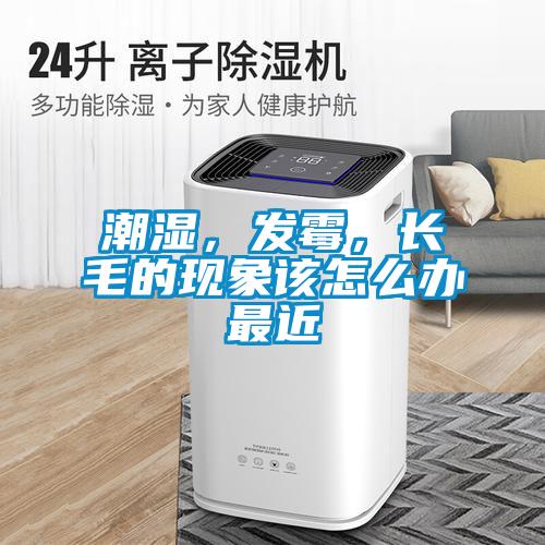 潮濕，發霉，長毛的現象該怎么辦最近