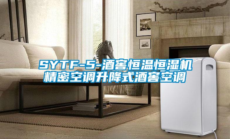 SYTF-5-酒窖恒溫恒濕機精密空調升降式酒窖空調
