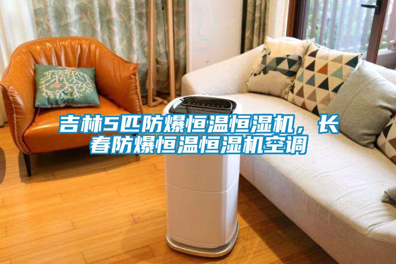 吉林5匹防爆恒溫恒濕機，長春防爆恒溫恒濕機空調(diào)