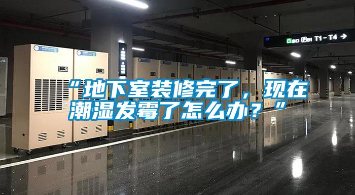 “地下室裝修完了，現在潮濕發霉了怎么辦？”