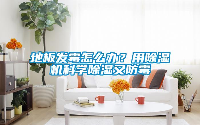 地板發霉怎么辦？用除濕機科學除濕又防霉