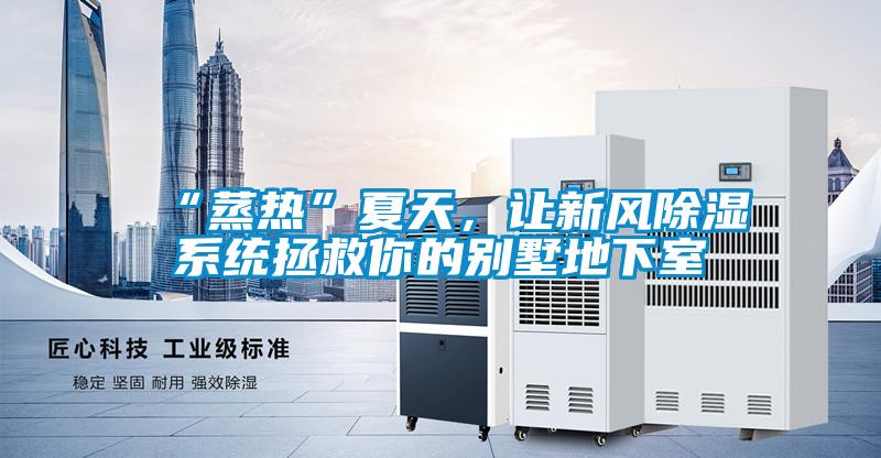 “蒸熱”夏天，讓新風除濕系統拯救你的別墅地下室