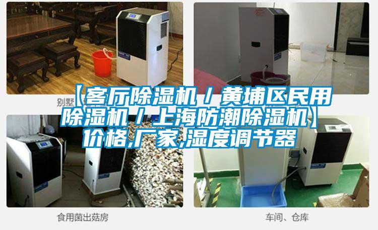 【客廳除濕機／黃埔區民用除濕機／上海防潮除濕機】價格,廠家,濕度調節器