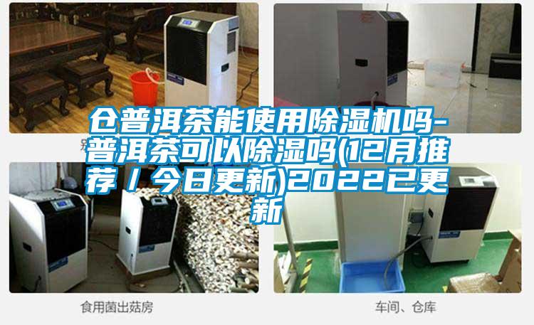 倉(cāng)普洱茶能使用除濕機(jī)嗎-普洱茶可以除濕嗎(12月推薦/今日更新)2022已更新